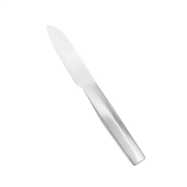 Cuchillo de frutas de pan de chef profesional de alta calidad ss430 Mango cuchillo de cocina de acero inoxidable con asiento de cuchillo 